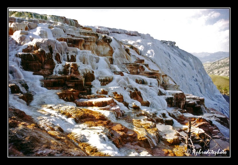 Yellowstone NP